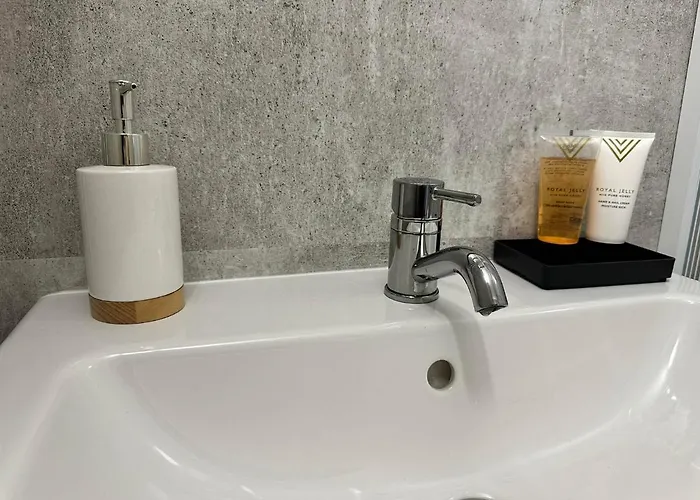 Olivia Vendeghaz 度假居